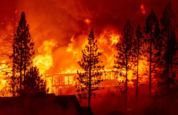 Wildfire Aid